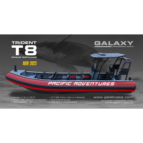 Galaxy Patrol RIB T7P